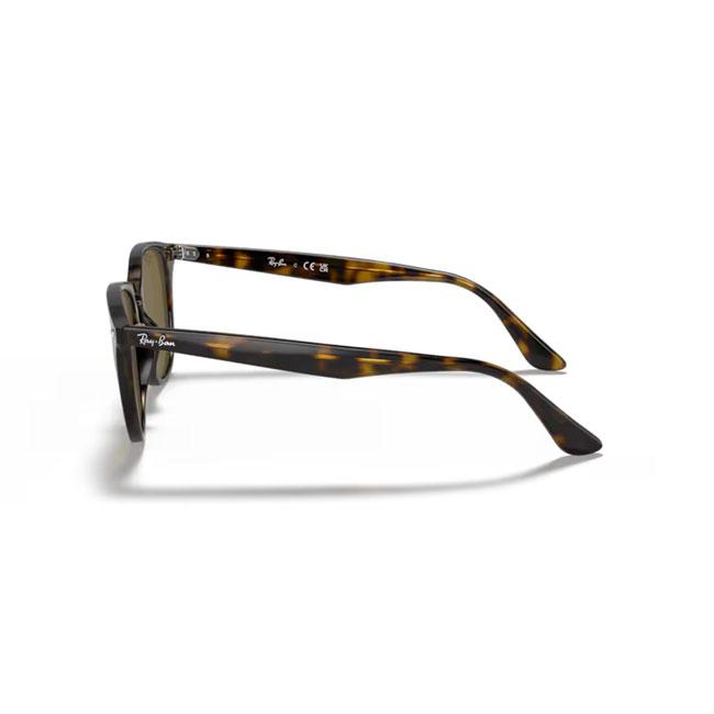 Ray-Ban（レイバン） RB4259F 710/73 53 【 日本正規品 サングラス