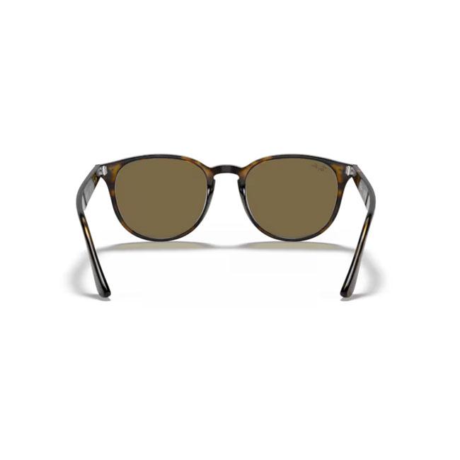 Ray-Ban（レイバン） RB4259F 710/73 53 【 日本正規品 サングラス