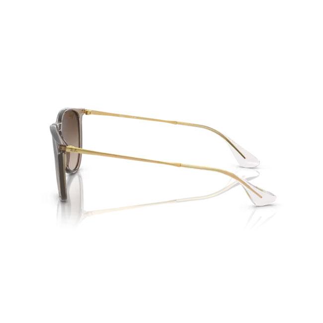 Ray-Ban（レイバン） ERIKA RB4171F 674413 54 【 日本正規品