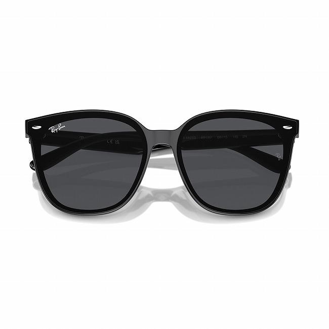 Ray-Ban（レイバン） RB4423D 601/87 66 RB4423D 【 日本正規品