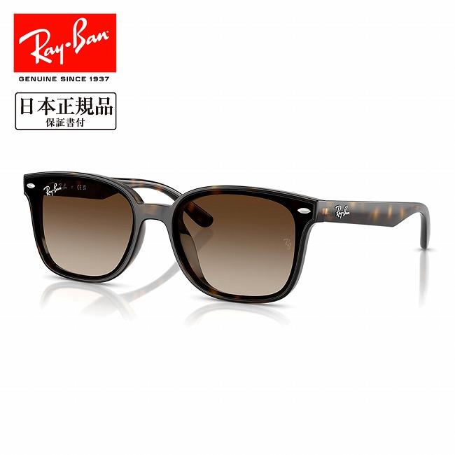 Ray-Ban サングラス　ORB4461D Ray-Ban（レイバン） RB4461D 710/13 64 RB4461D 【 日本正規品