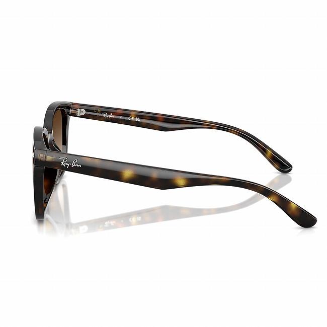 Ray-Ban（レイバン） RB4461D 710/13 64 RB4461D 【 日本正規品