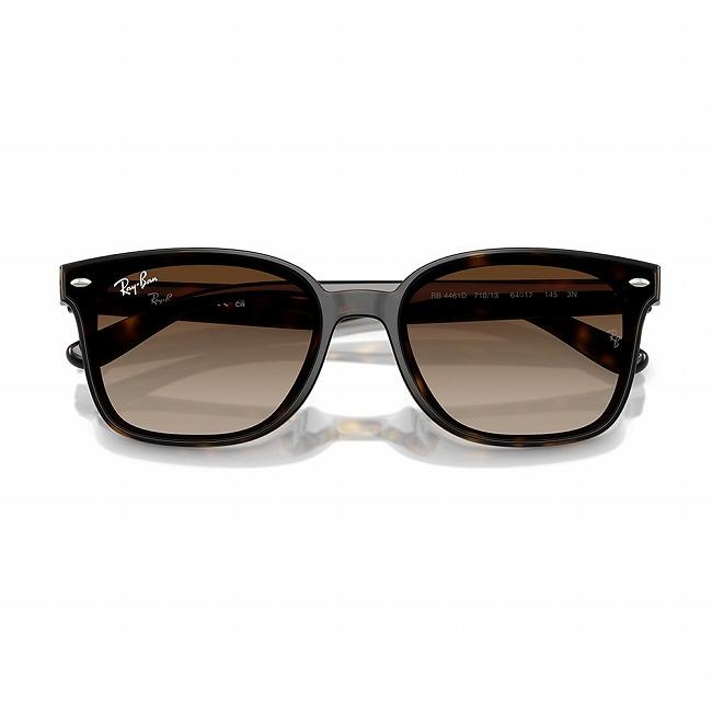 Ray-Ban（レイバン） RB4461D 710/13 64 RB4461D 【 日本正規品