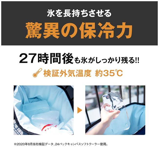 AO Coolers エーオークーラーズ 24パック カーボンソフトクーラー Black AOCR24 【クーラーボックス/保冷バック/UVカット/カビ予防/アウトドア】の画像