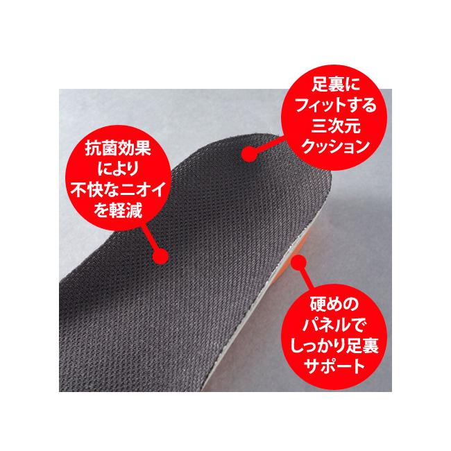 日本野鳥の会 オリジナルソールラックサポート 【インソール/バード