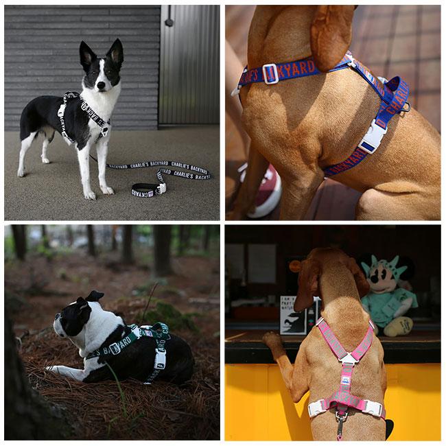 CHARLIE'S BACKYARD チャーリーズバックヤード TRIP HARNESS S