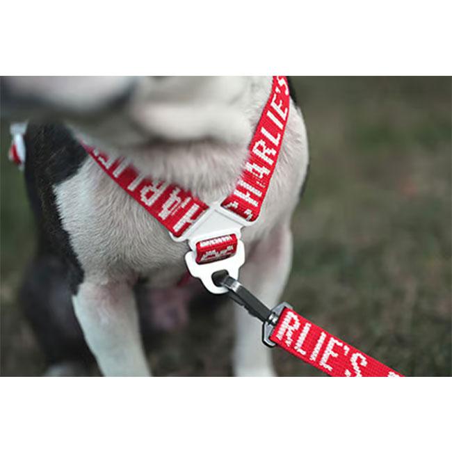 CHARLIE'S BACKYARD チャーリーズバックヤード TRIP HARNESS S