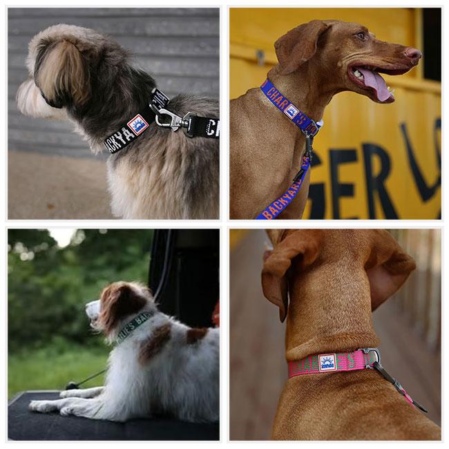 CHARLIE'S BACKYARD チャーリーズバックヤード TRIP COLLAR L トリップ