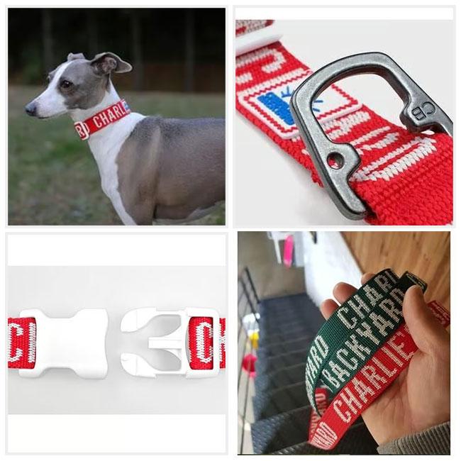 CHARLIE'S BACKYARD チャーリーズバックヤード TRIP COLLAR L トリップ