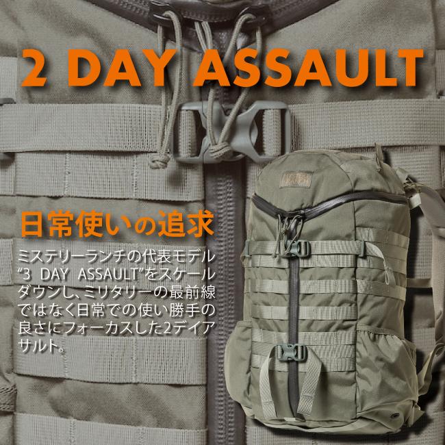 MYSTERY RANCH（ミステリーランチ） ミステリーランチ2 DAY ASSAULT