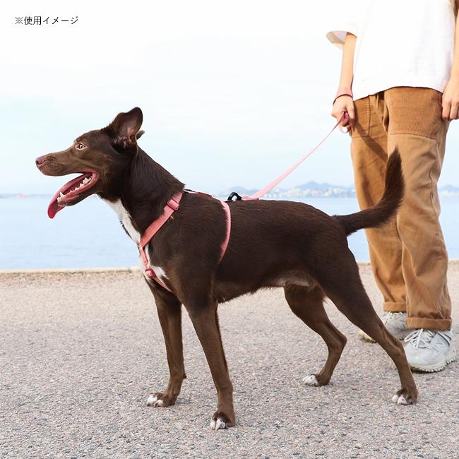 犬用品 zee.dog ハーネス リード セット ピンク XS canyon 小型犬