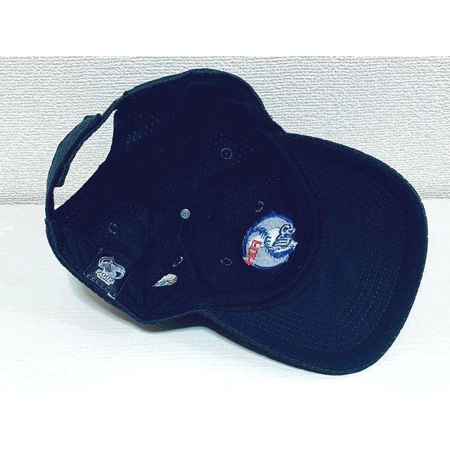 オリックス・ブルーウェーブ VS 福岡ダイエーホークス 2002 台湾 海外