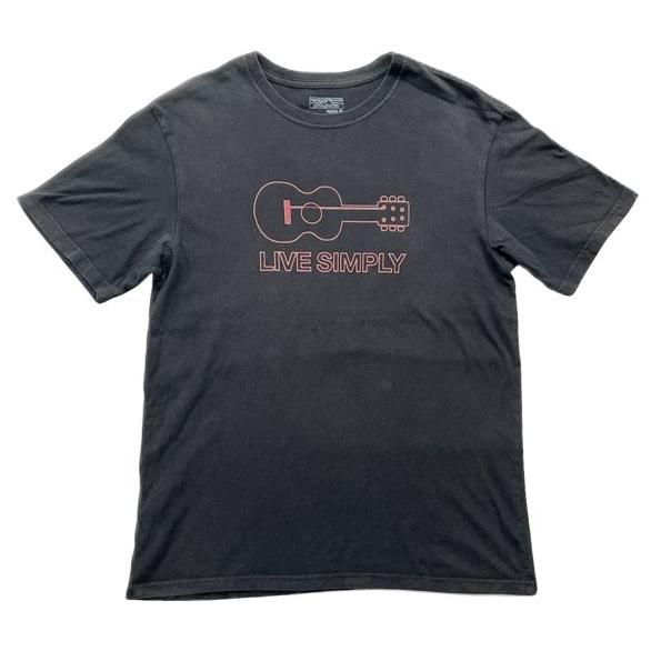 patagonia 米国製 2015 パタゴニア Tシャツ リブシンプリー LIVE