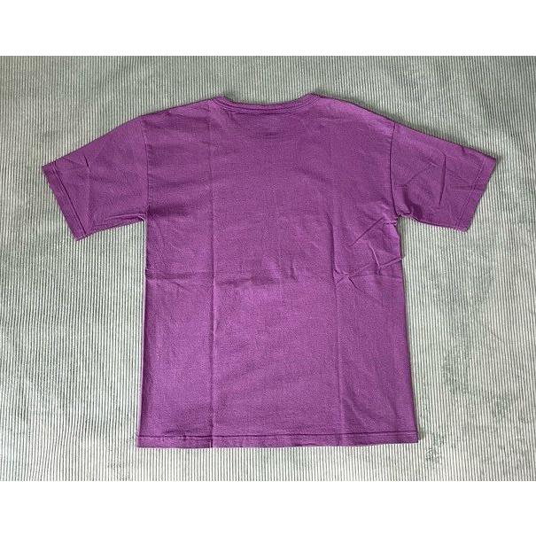 Champion（チャンピオン） 米国製 MADE IN USA Tシャツ T1011 NYU 