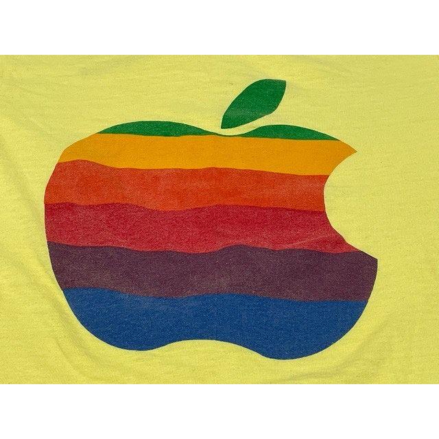 Hanes 70's 米国製 ヘインズ ビンテージ Apple アップル Tシャツ