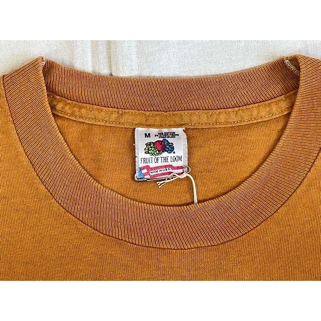 80's 90’s 米国製 MADE IN USA ベンデイビス BEN DAVIS Tシャツ ロゴ ブラック フルーツオブザルーム M [l