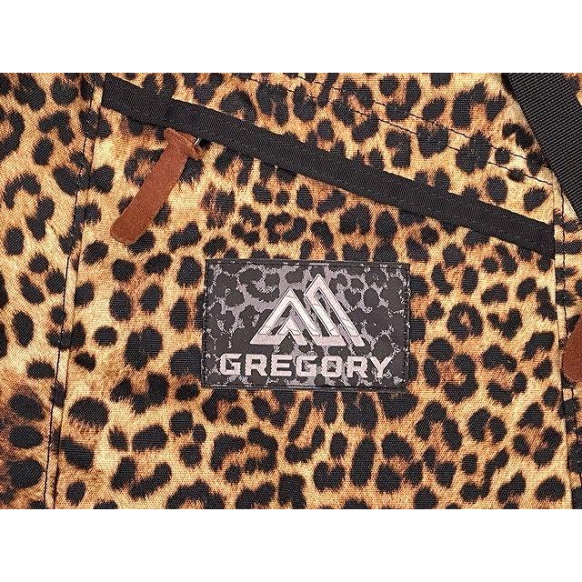 GREGORY グレゴリー ファインデイ FINE DAY 限定カラー トゥルー GREGORY グレゴリー ファインデイ FINE DAY 限定カラー トゥルー