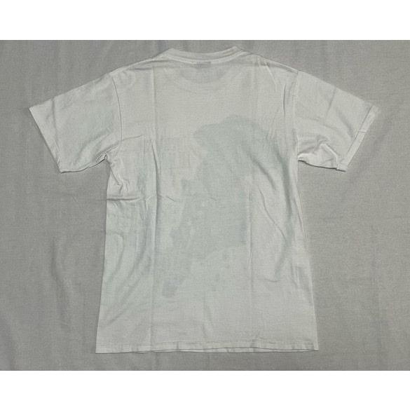 STUSSY 00's メキシコ製 ステューシー オールドステューシー T STUSSY 00's メキシコ製 ステューシー オールドステューシー T