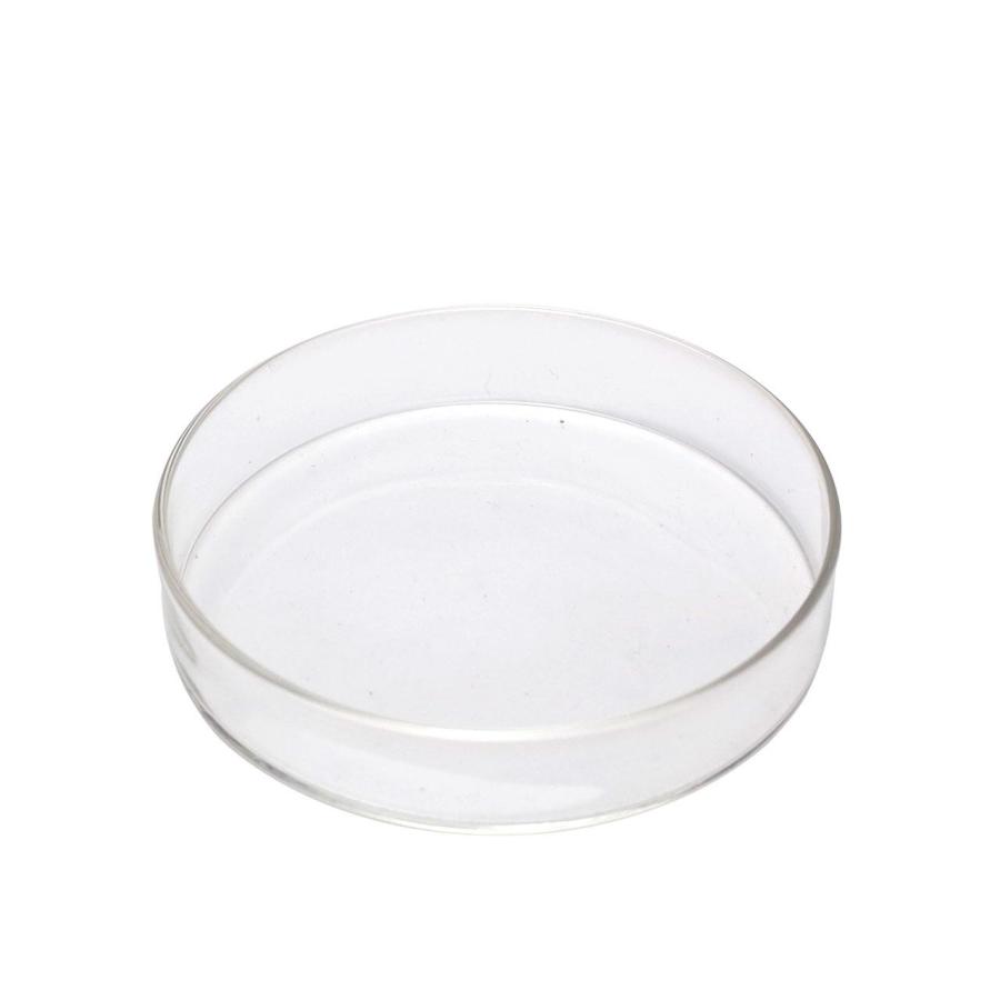 小泉硝子製作所　分画シャーレー用蓋 |  | 01