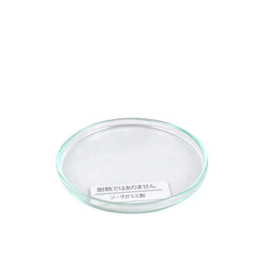 BOROSIL　VISION GLASS　LID 65　ボロシル　ヴィジョングラス |  | 03