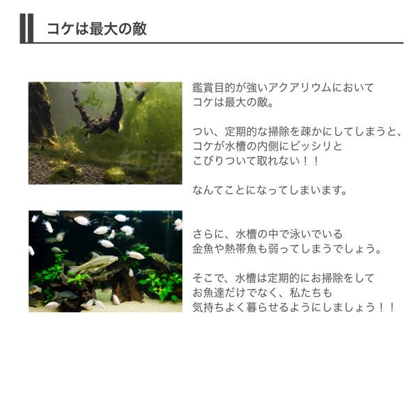 水槽 掃除 スクレーパー プロレイザー 苔 コケ取り 65cm 替え刃付 B00sczb3yc Highmountセカンド 通販 Yahoo ショッピング