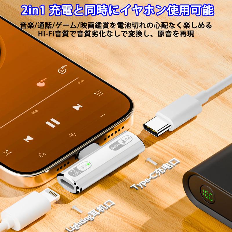 タイプC IOS 変換コネクタ ミニサイズ 2個セット 変換アダプタ タイプC IOS 変換コネクタ ミニサイズ 2個セット 変換アダプタ 楽天