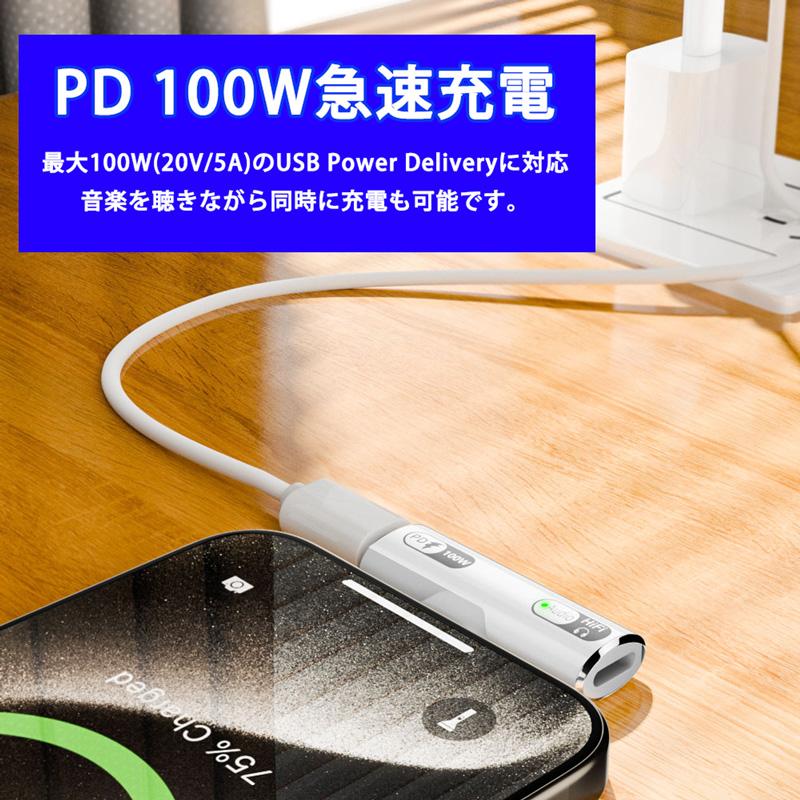 タイプC IOS 変換コネクタ ミニサイズ 2個セット 変換アダプタ タイプC IOS 変換コネクタ ミニサイズ 2個セット 変換アダプタ 楽天