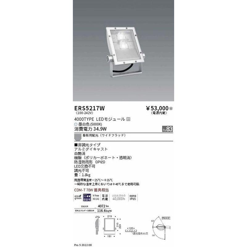 遠藤照明　アウトドアライト　軽量コンパクトスポットライト　看板灯　昼白色　ERS5217W　4000TYPE　看板用配光　白艶消