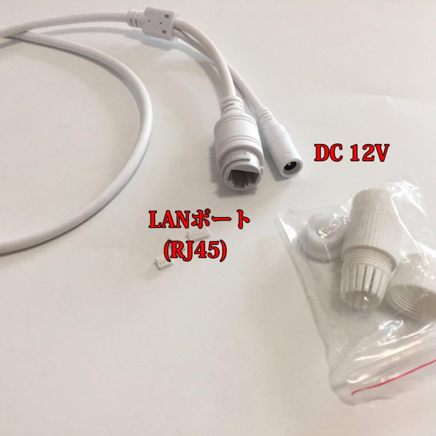 PoE IPカメラ 組込用 11芯 ケーブル LAN部分 防水接続キット付 IP