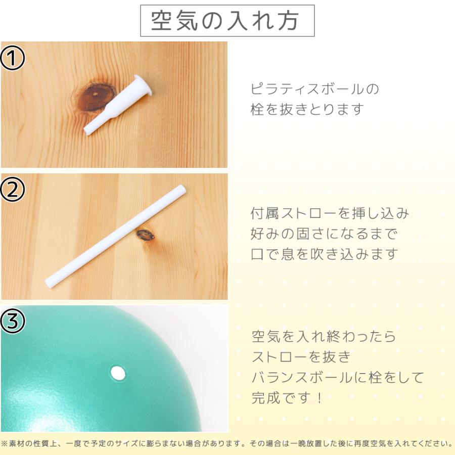 2025年新色追加 ピラティスボール 新作入荷 フィットネスボール 25cm ジムボール 骨盤補正 腹筋 トレーニング シェイプアップ 姿勢 筋トレ バランス |  | 08