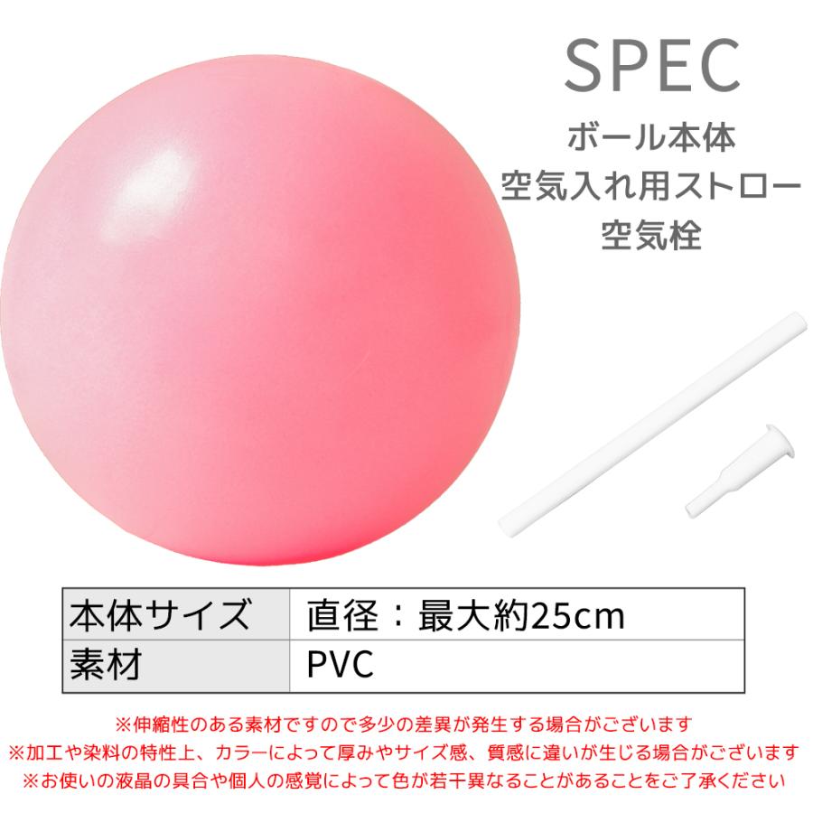 2025年新色追加 ピラティスボール 新作入荷 フィットネスボール 25cm ジムボール 骨盤補正 腹筋 トレーニング シェイプアップ 姿勢 筋トレ バランス |  | 10