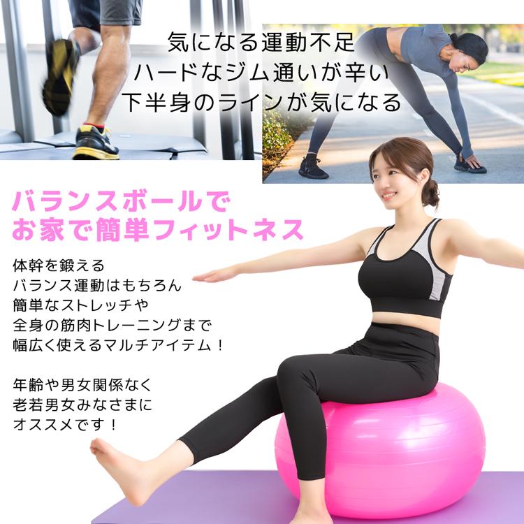 大人気定番商品 バランスボール 新作入荷 フィットネスボール 65cm ジムボール 骨盤補正 腹筋 トレーニング シェイプアップ 姿勢 筋トレ バランス Demo Ibcl Lu