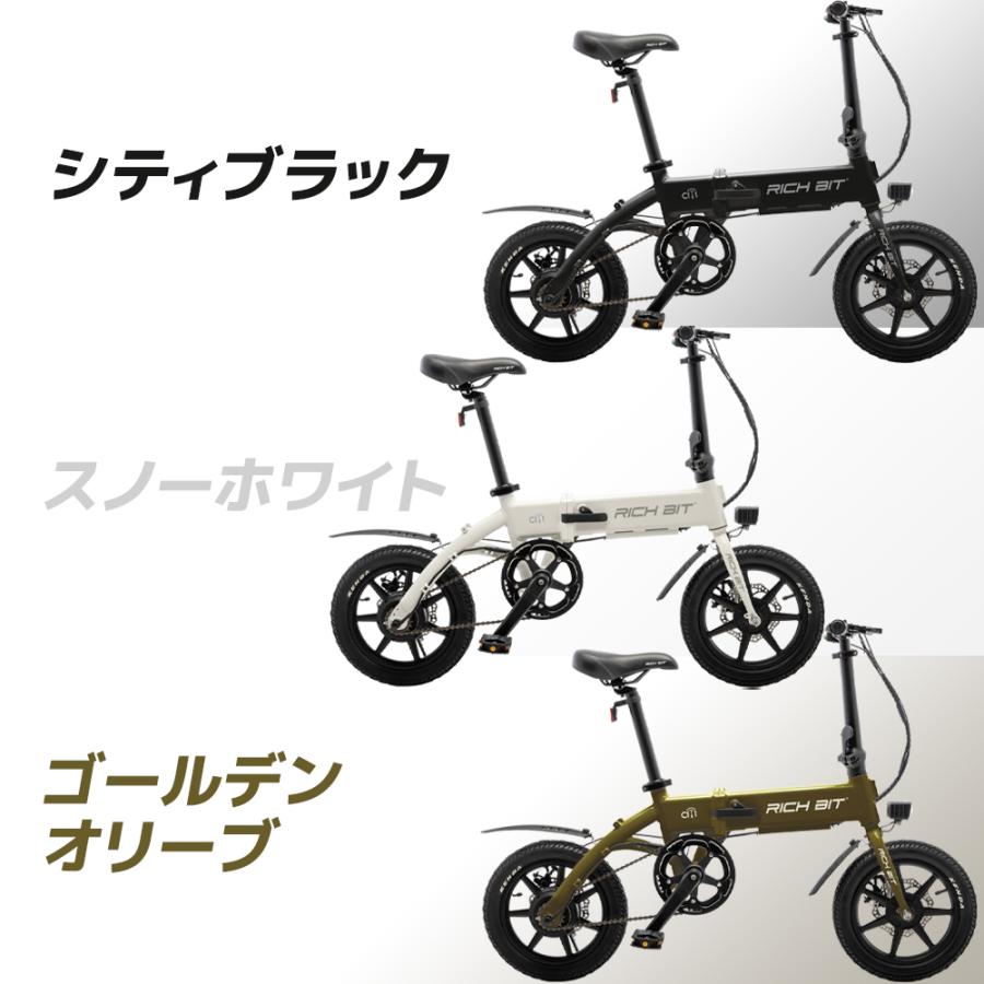 RICH BIT 電動アシスト自転車 折りたたみ RICHBIT CITY ASSIST e RICH BIT 電動アシスト自転車 折りたたみ RICHBIT CITY ASSIST e