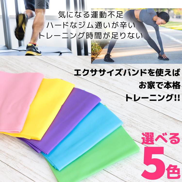 ジャパンライム　世界基準のワンハンドシュート 世界基準のワンハンドシュート ～キャッチ＆シュートの確率を上げる