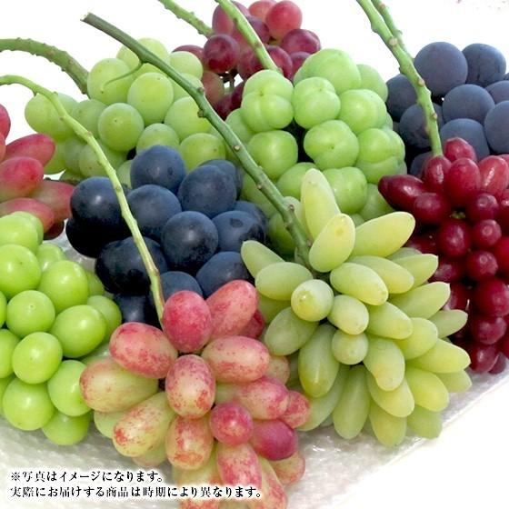 岡山県産 Jewelboxこだわりの葡萄 皮ごと食べれる粒葡萄7品種詰め合わせ 産地直送品 送料無料 Grapes Seven0001 ハイギフト 通販 Yahoo ショッピング