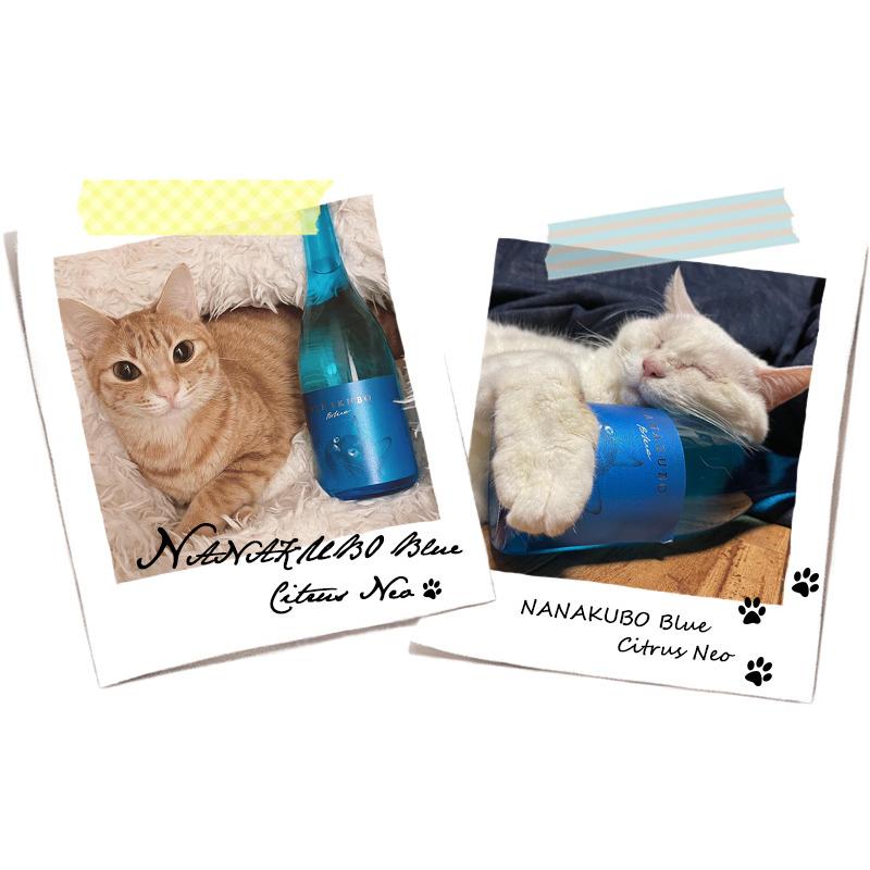NANAKUBO Blue ／ Citrus Neo 25度 720ml 東酒造 ななくぼ ブルー