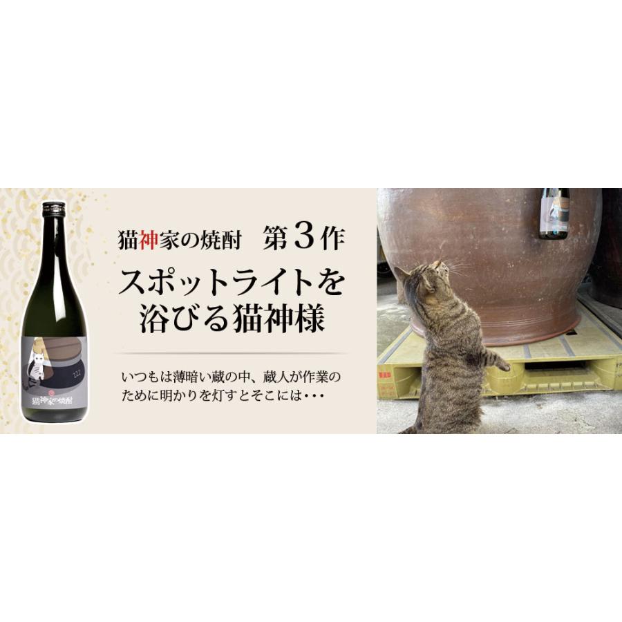 猫神家の焼酎 第3作 スポットライトを浴びる猫神様 25度 720ml 神酒造 ねこがみけのしょうちゅう 芋焼酎 お酒 プレゼント ギフト 父の日｜higohigo｜06