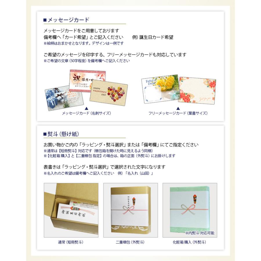 さつま島美人 送料無料 ※一部地域送料500円 長島の3姉妹セット 900ml