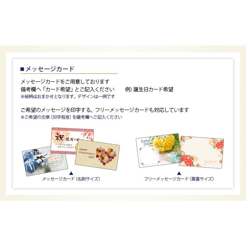 丸西酒造 招き猫2本セット 900ml × 2本 まねきねこ 芋焼酎 焼酎セット