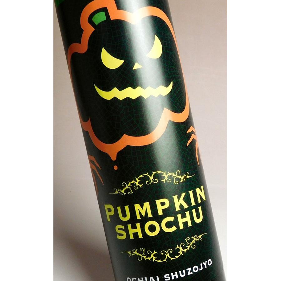 かぼちゃ焼酎 PUMPKIN SHOCHU 20度 500ml 落合酒造場 ぱんぷきん