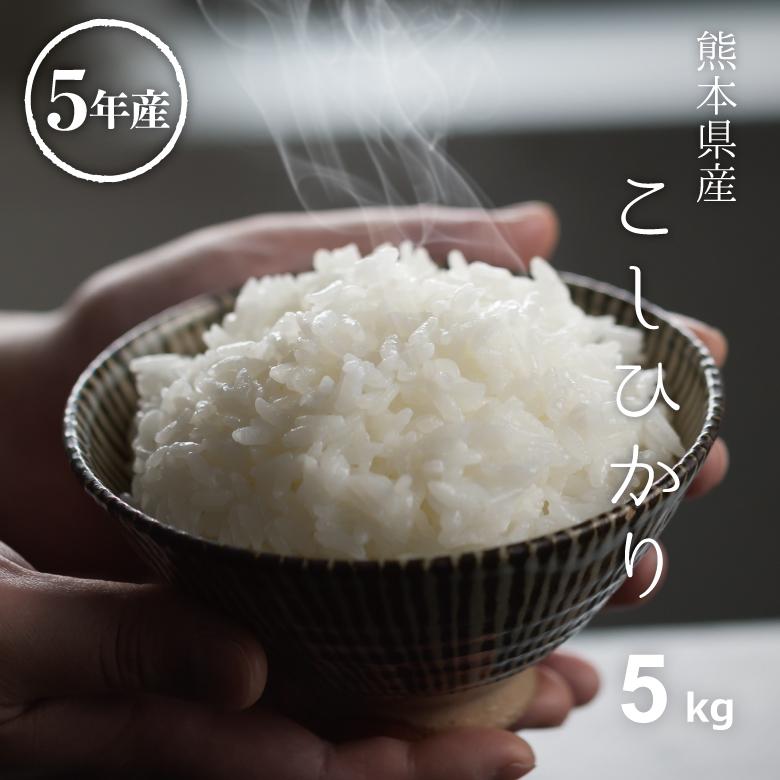 米 お米 5kg 送料無料 コシヒカリ 熊本県産 白米5kg ギフト 81％以上節約 こしひかり 最大59％オフ！ 令和3年産 贈答用