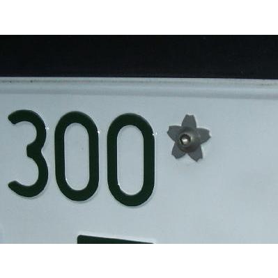 ワッシャー  サクラ | 