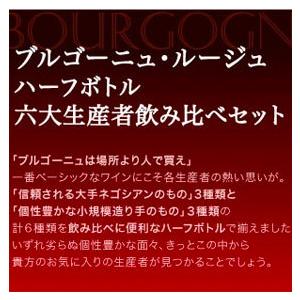 ブルゴーニュ 赤ワイン ハーフボトル 6本セット Ver.35 六大生産者 飲み比べ セット 375m 6本 赤ワイン wine｜higuchiwine｜02