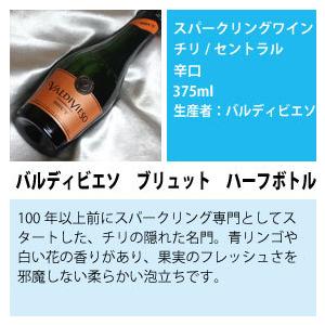ひろと　スパークリングワイン 飲み比べ　2本セット　シャンパン　1本 ハーフボトル ワインセット 有名 シャンパン から 辛口 スパークリング