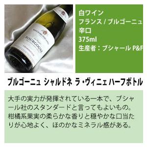 ハーフボトル ワインセット 白ワイン 銘醸 ブルゴーニュ 厳選 ハーフボトル ワインセット 白ワイン 銘醸 ブルゴーニュ 厳選