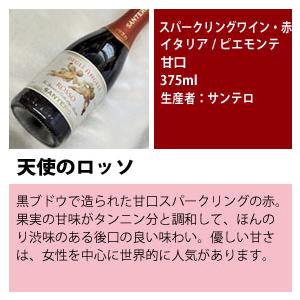 世界 の スパークリング ワイン ハーフ ボトル 6本セット Ver.8 辛口