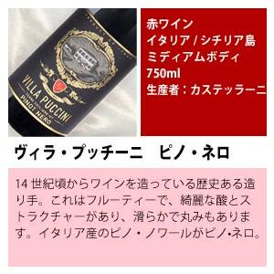 ワインセット 赤ワイン 12本 飲み比べ しなやかな飲み口 12本セット
