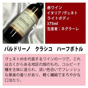 ハーフボトル ワインセット 12本 飲み比べ ミックスセット 赤白ワイン