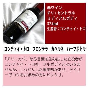 ハーフボトル ワインセット 赤セット 濃いめの 赤ワイン ハーフボトル 飲み比べ 12本セット 375ml 12本 wine｜higuchiwine｜11