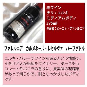 ハーフボトル ワインセット 赤セット 濃いめの 赤ワイン ハーフボトル 飲み比べ 12本セット 375ml 12本 wine｜higuchiwine｜12